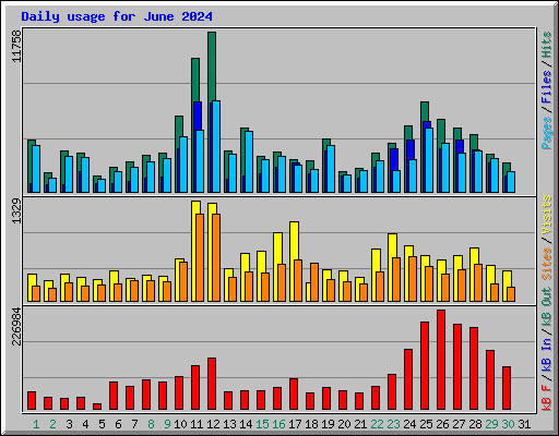 Daily usage for June 2024