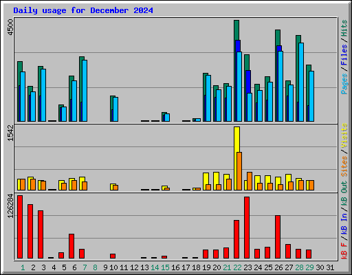 Daily usage for December 2024