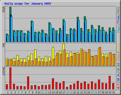 Daily usage for January 2025
