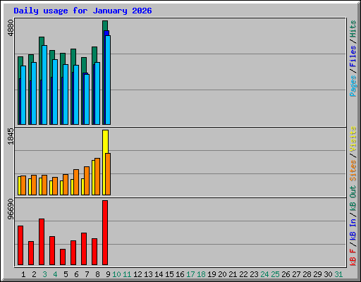 Daily usage for January 2026