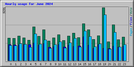 Hourly usage for June 2024