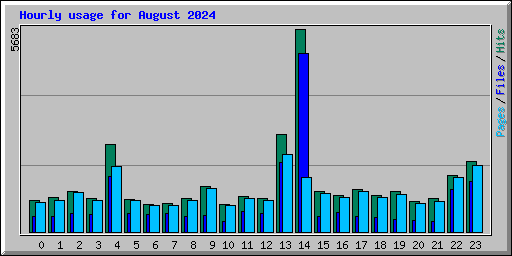 Hourly usage for August 2024