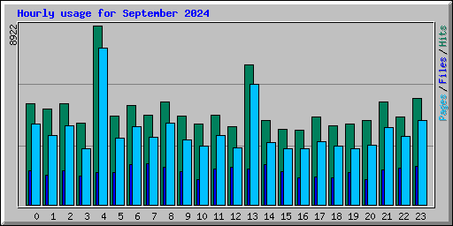 Hourly usage for September 2024