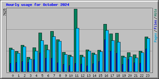 Hourly usage for October 2024