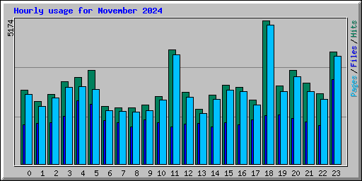 Hourly usage for November 2024