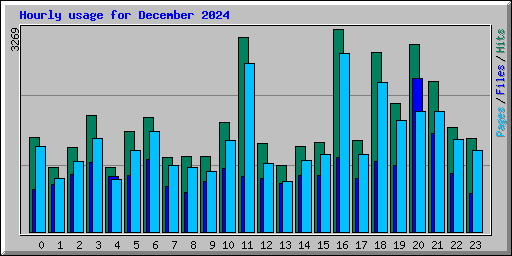 Hourly usage for December 2024