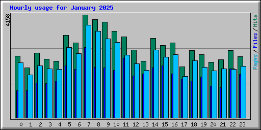 Hourly usage for January 2025