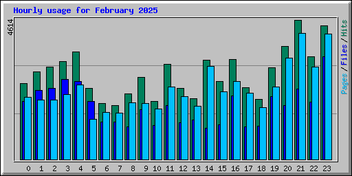 Hourly usage for February 2025