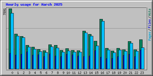 Hourly usage for March 2025