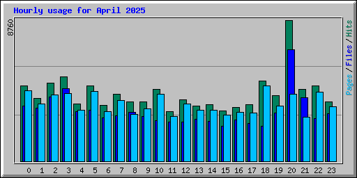 Hourly usage for April 2025