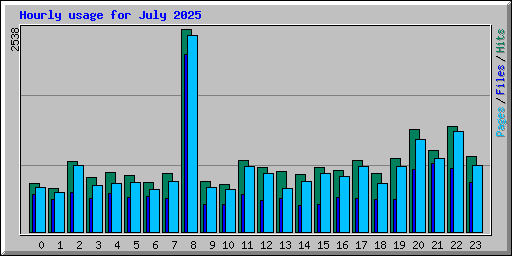 Hourly usage for July 2025