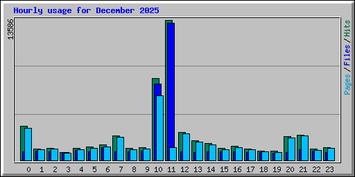 Hourly usage for December 2025