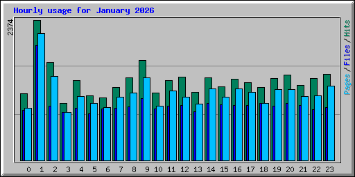 Hourly usage for January 2026