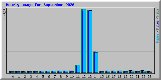 Hourly usage for September 2026